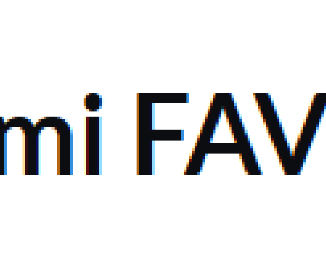 Remi FAVRE