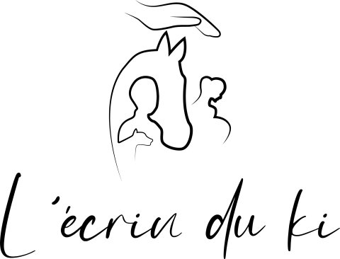 logo E.I L'ecrin du Ki