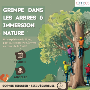 image grimpe arbres